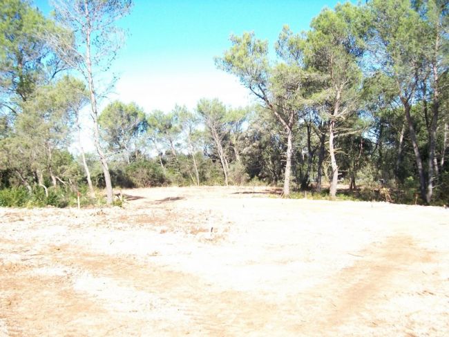 terrain de 698 m²