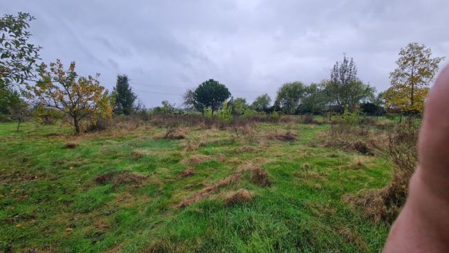 Terrain 1000 m²  à Saint Etienne de Tulmont