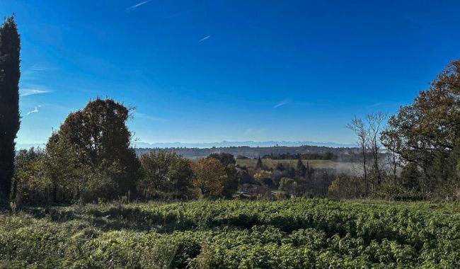 Terrain à Bâtir à Vigoulet-Auzil 31320