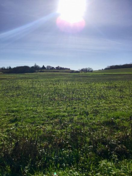 Terrain de 650m² à Gragnague 31380