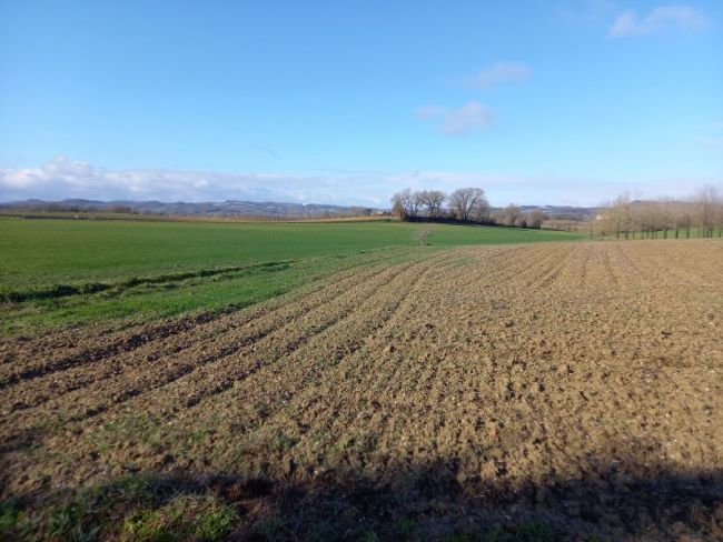 Jonquières terrain à bâtir de 1400 m²