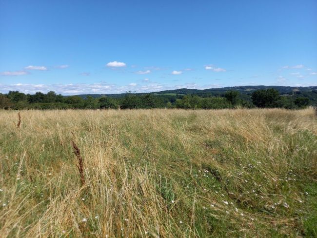 Castres, terrain à bâtir de 725 m²