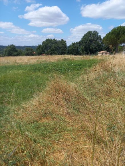 Castres, terrain à bâtir de 2570 m²