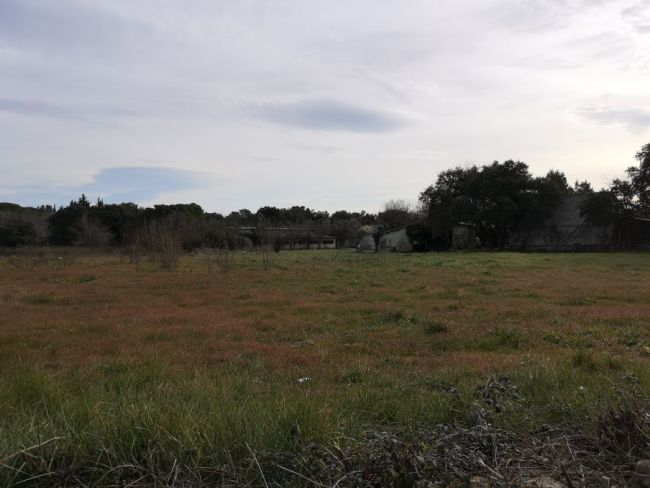 Villevieille Terrain à Batir