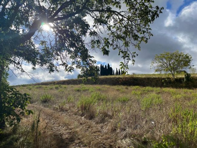 Terrain de 1000 m² Hors Lotissement sur la Commune de Limoux