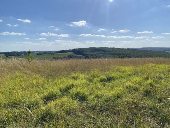 Terrain à bâtir de 1238 m² à Montjoire